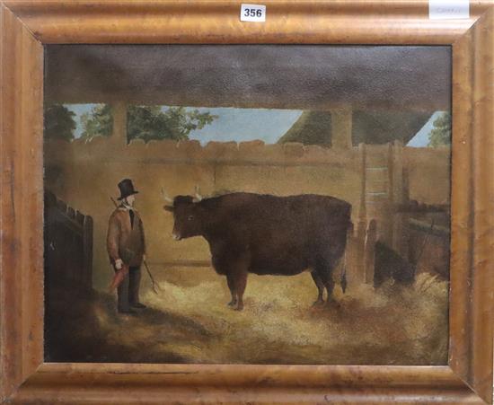 19th century Primitive School, oil on canvas, Naive study of a farmer and prize heffer in a stable, 41 x 52cm